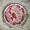 red and lavender roses with stephanotis pressed          
