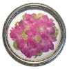 Pressed Floral Arrangements by Lisa Balogna